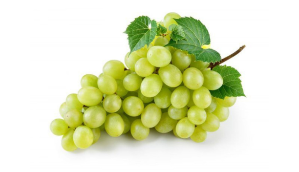 Lentils, Pulses & Grains