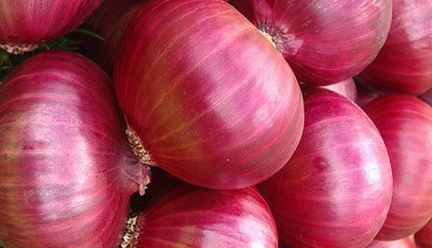 Dehydrated Onions, Garlic & Powders